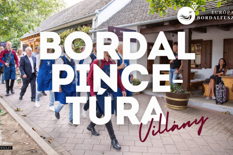 Bordal Pincetúra Villány, 2025