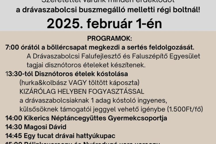 Disznóvágás Drávaszabolcson, az Ormánságban, 2025.02.01.