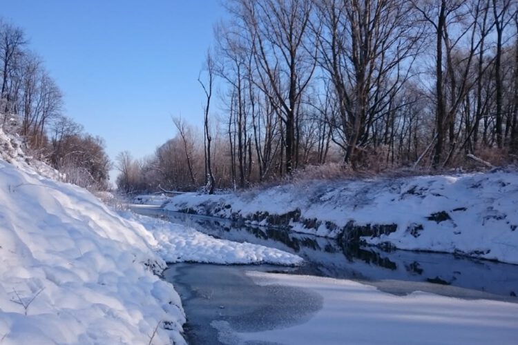 Dzsungeltúra a Dráván, a Duna-Dráva nemzeti Park szervezésében