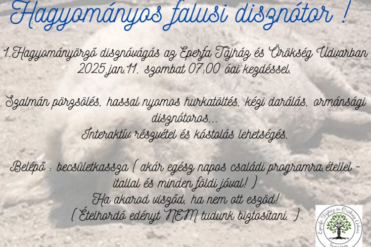 Hagyományos falusi disznótor Szaporcán, az Eperfa Tájházban, 2025.01.11-én 87 órától