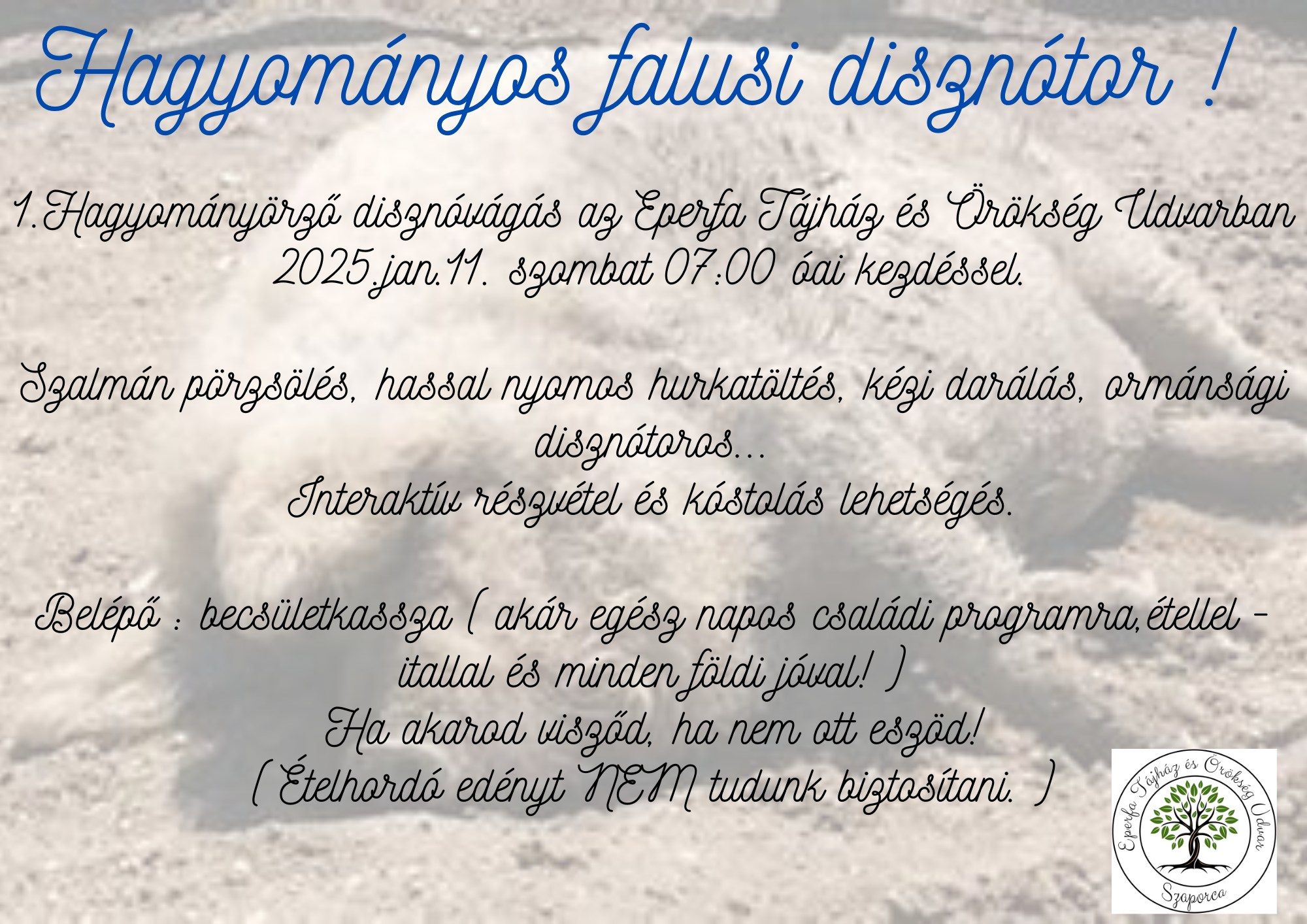 Hagyományos falusi disznótor Szaporcán, az Eperfa Tájházban, 2025.01.11-én 87 órától