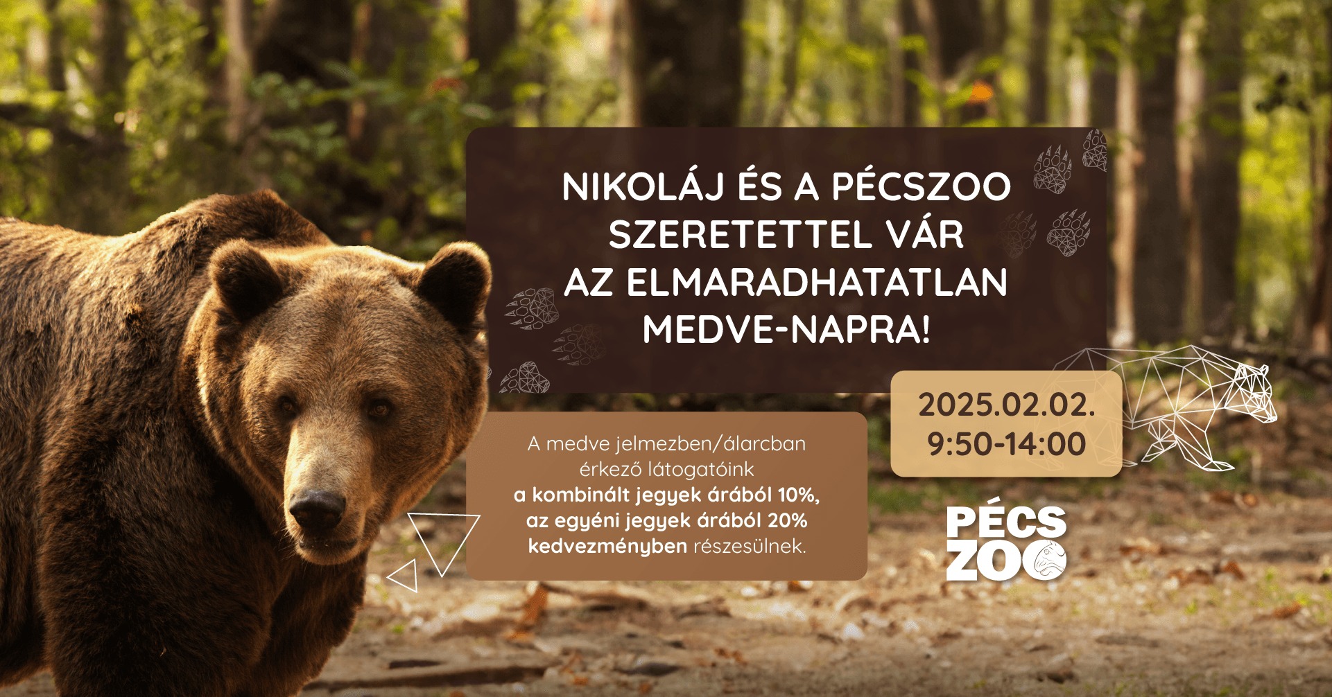 Medve-nap a Pécsi Állatkertben, 2025