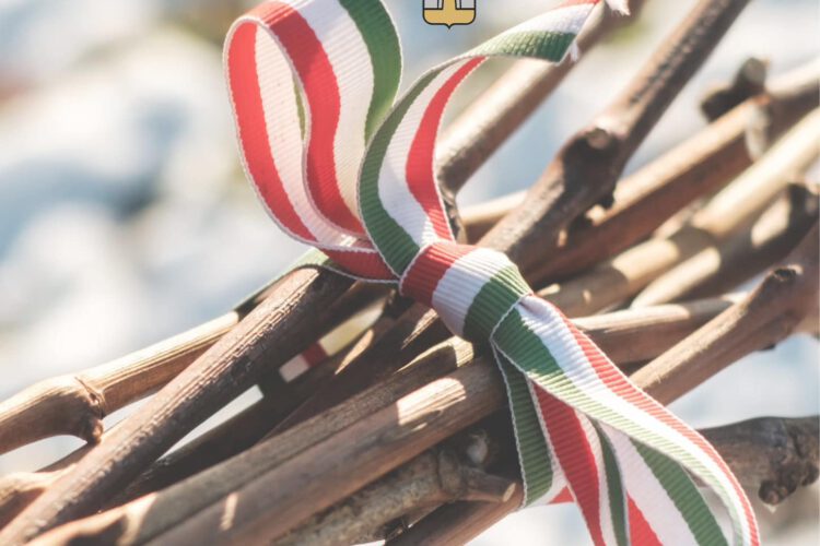 Siklósi vesszőszentelés Vince-nap alkalmából, 2025.01.22.