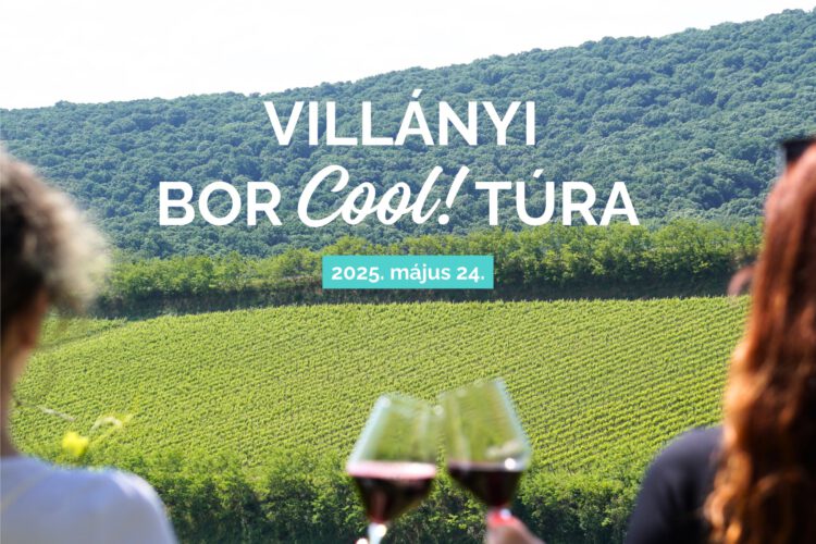 Villányi Borcooltúra 2025 - 2025.05.24.
