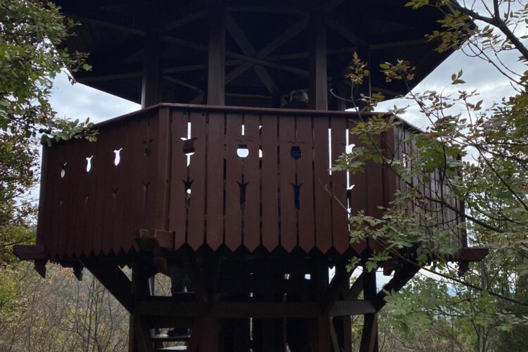 Tenkes-hegyi kilátó felújítás 2025.02.12-21