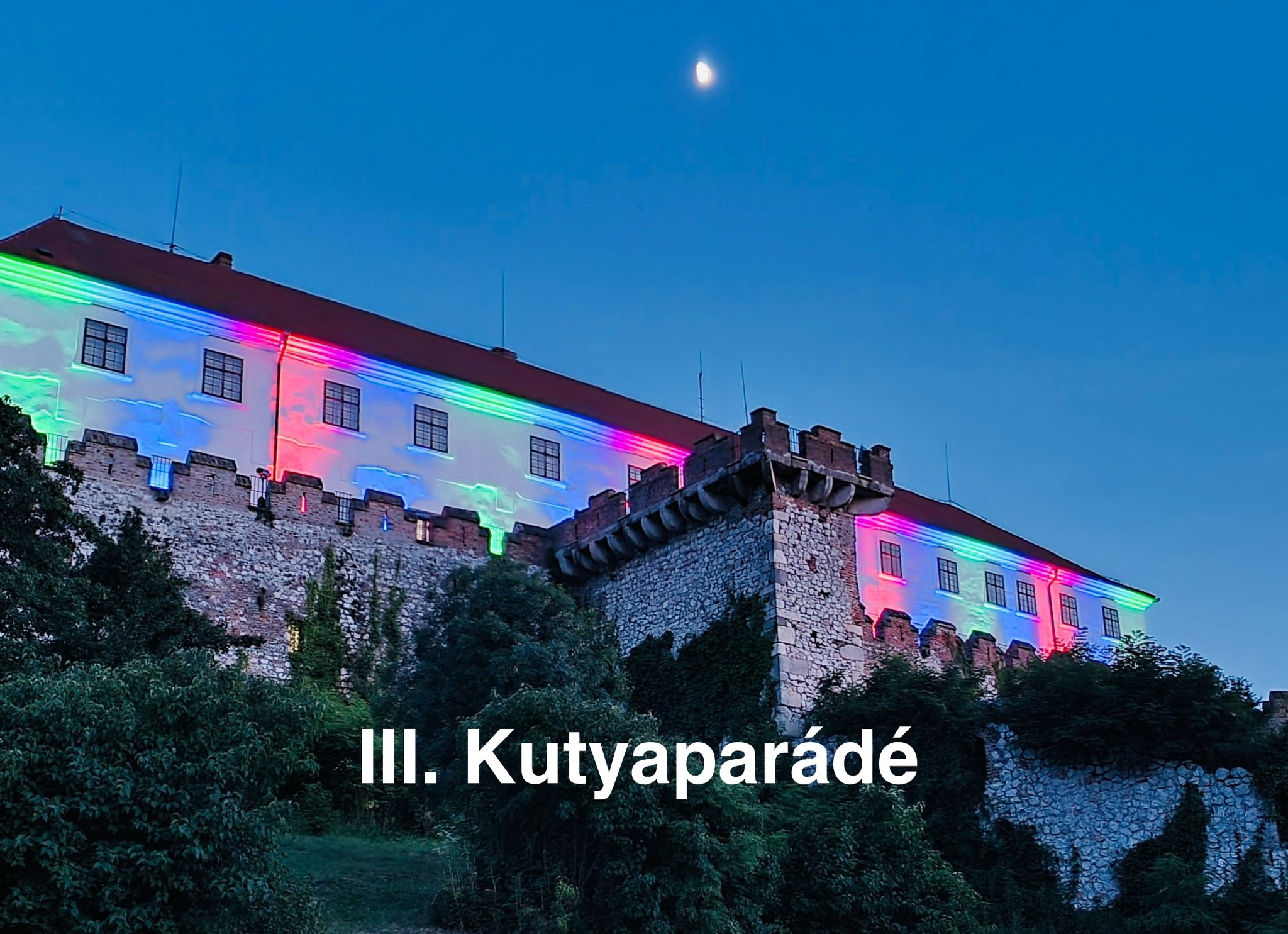 Kutyaparádé Siklóson - 2025.06.14.