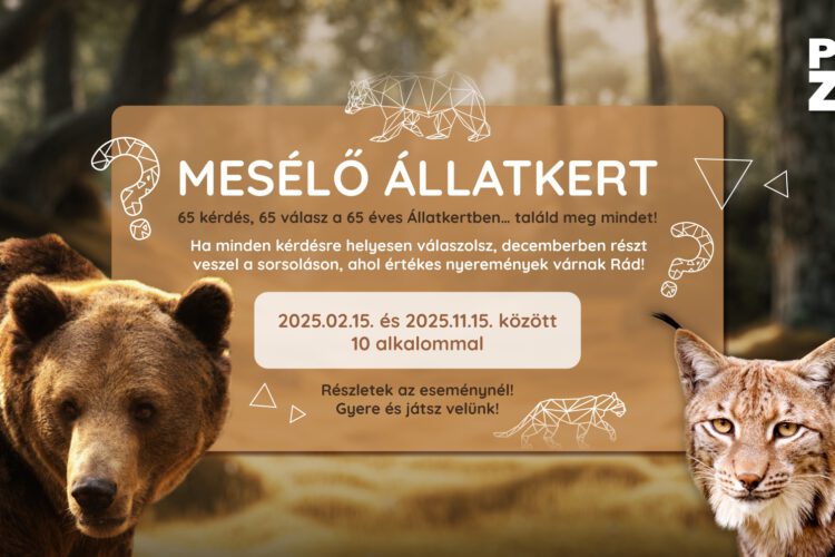 Mesélő Állatkert kvízsorozat a Pécsi Állatkertben - 2025