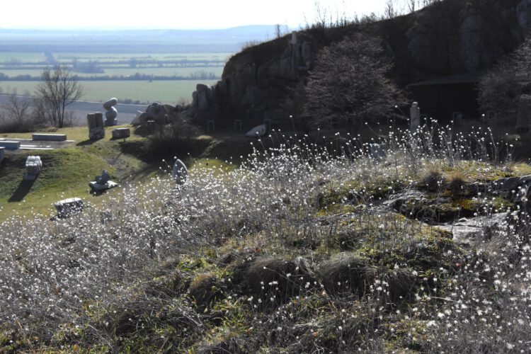 Nagyharsányi Szoborpark