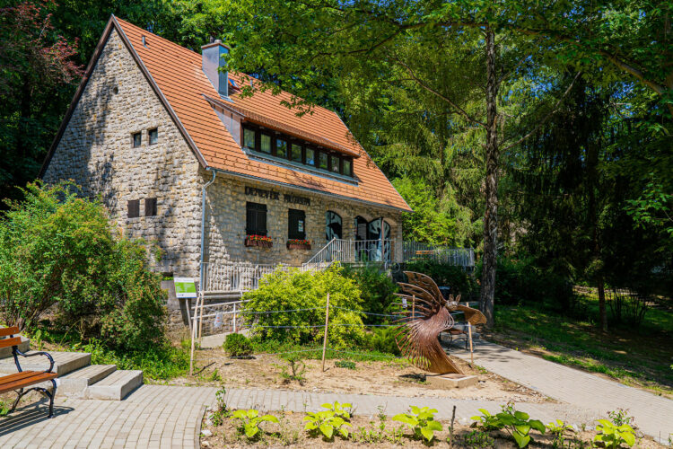 Abaliget, Denevérmúzeum, Tárlatvezetés