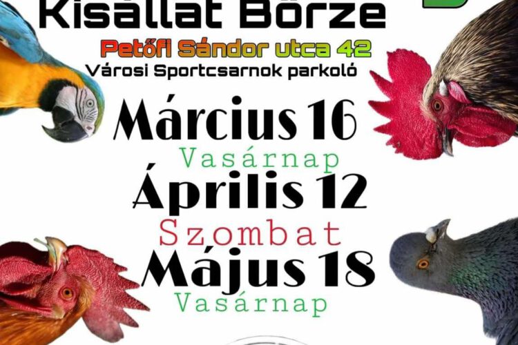 Kisállat börze Harkányban, a Sportcsarnokban - nyúl, galamb, papagáj, kakas, csirke, tyúk