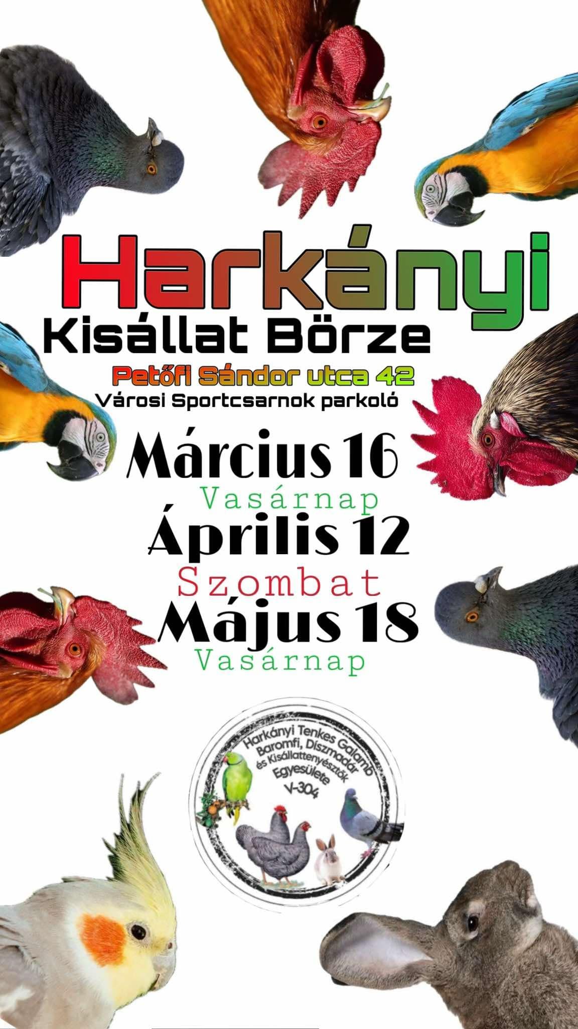 Kisállat börze Harkányban, a Sportcsarnokban - nyúl, galamb, papagáj, kakas, csirke, tyúk