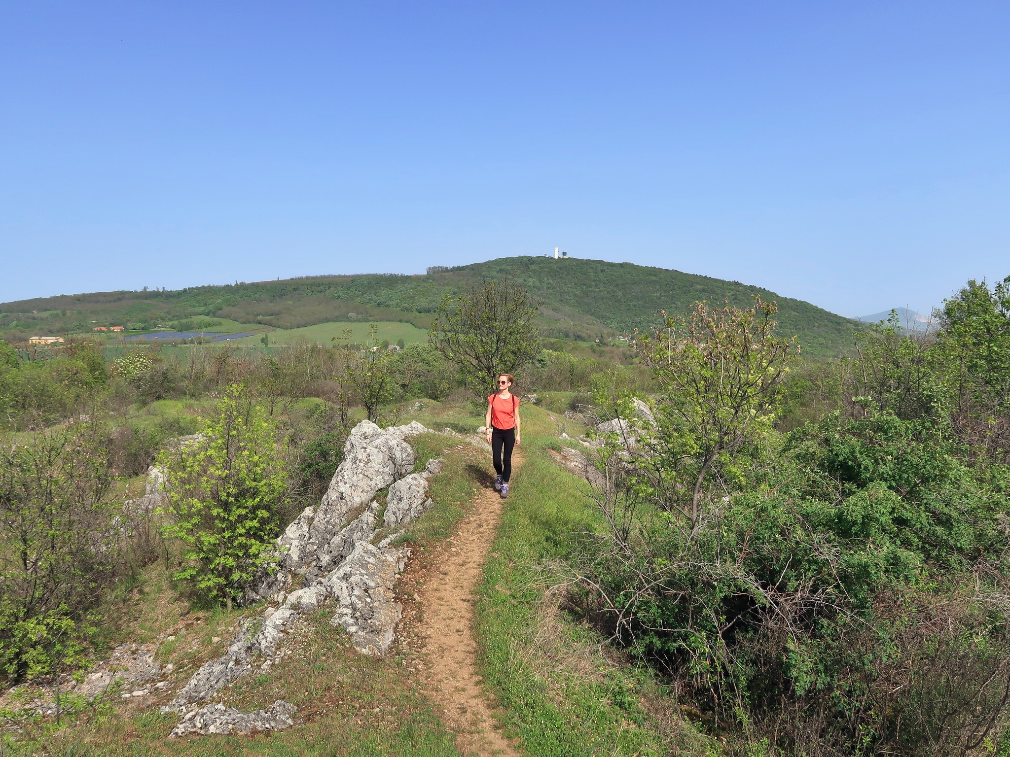 Túra a Villányi-hegységben, forrás: https://kirandulastippek.hu/