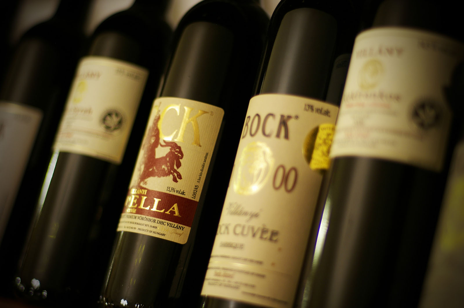 Bock Borok, Szent Márton napi újborünnep, 2025