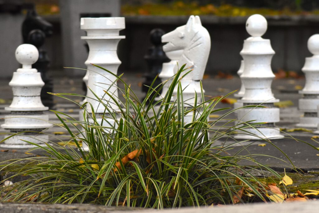 Harkány ősszel, Harkányi Strand ősszel, óriás sakk, 2025.10.