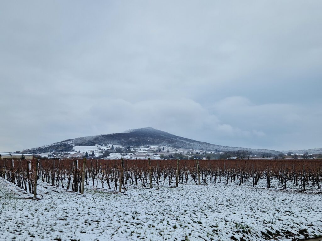 Villány télen, 2025, Xavin Hotel Harkány