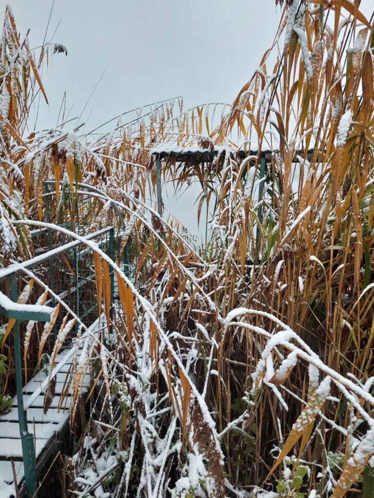 Orfű havas fotó, 2025, Xavin Hotel Harkány