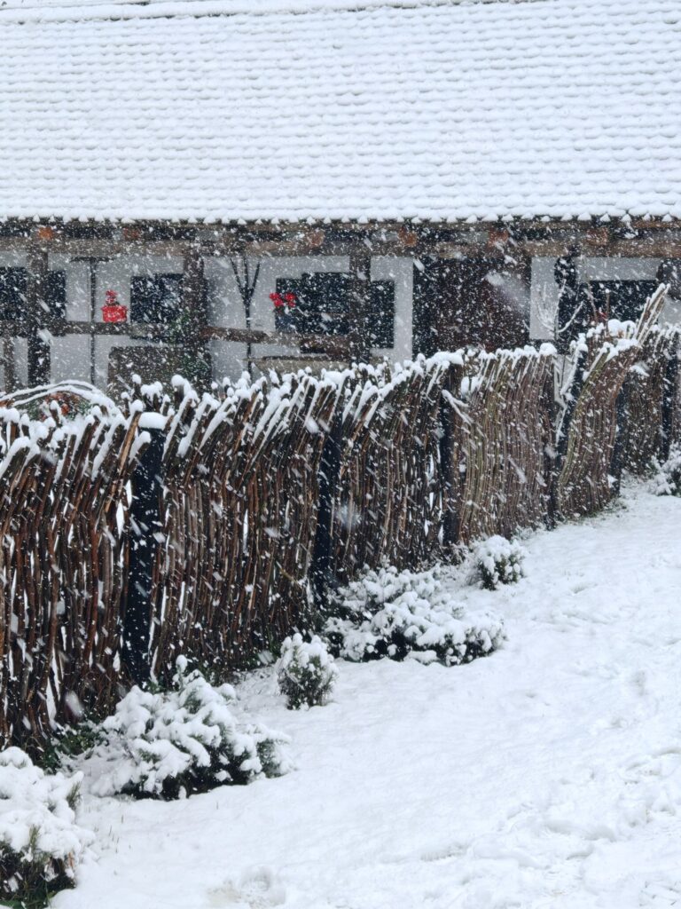Az Eperfa Tájház télen, 2025.11, Xavin Hotel Harkány