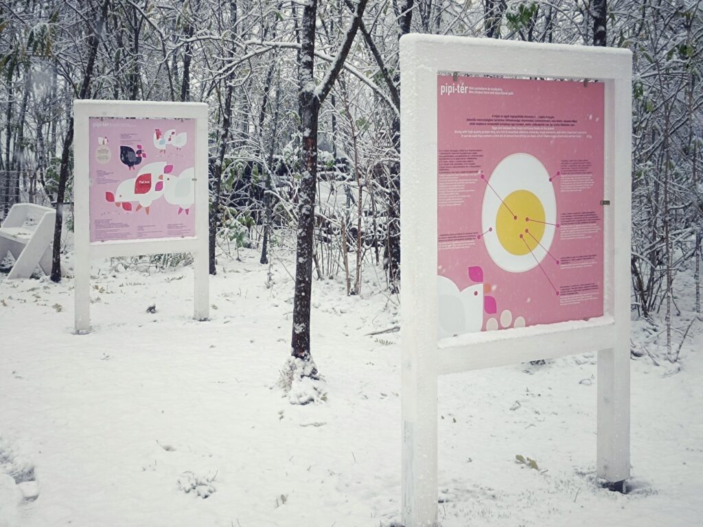 Pipi-tér, téli tájkép, Szaporca, 2025.11., Xavin Hotel Harkány