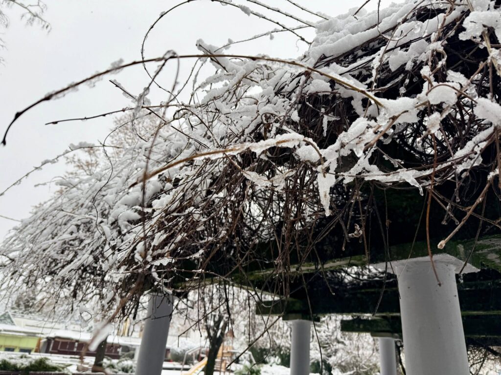 Havazás Baranyában - 2026.01.03. - Harkányi Gyógyfürdő
