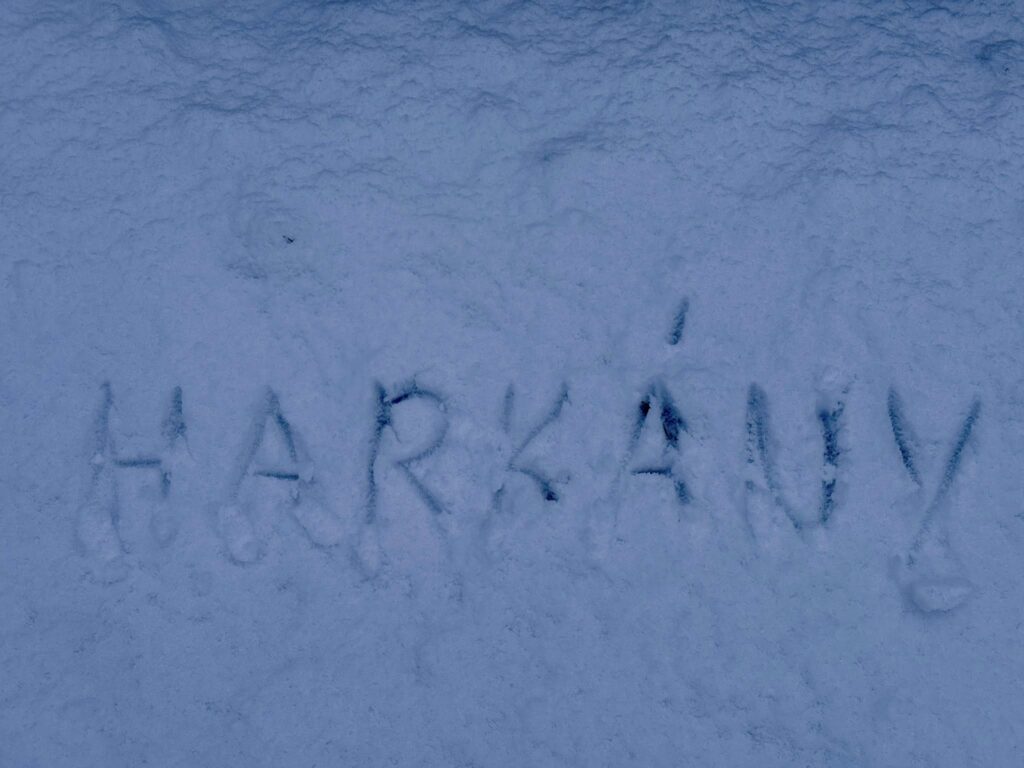 Havazás Baranyában - 2026.01.03. - Harkányi Gyógyfürdő