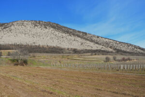 Nagyharsányi Szoborpark, 2026.02.