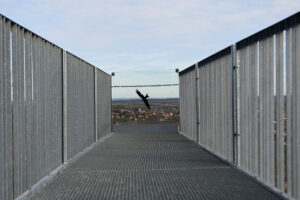 Nagyharsány Szoborpark, 2026.02.