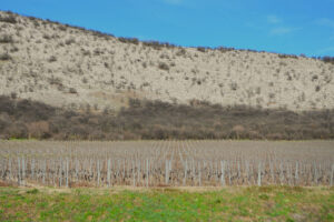 Nagyharsány Szoborpark, 2026.02.