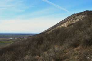 Nagyharsányi Szoborpark, 2026.02.