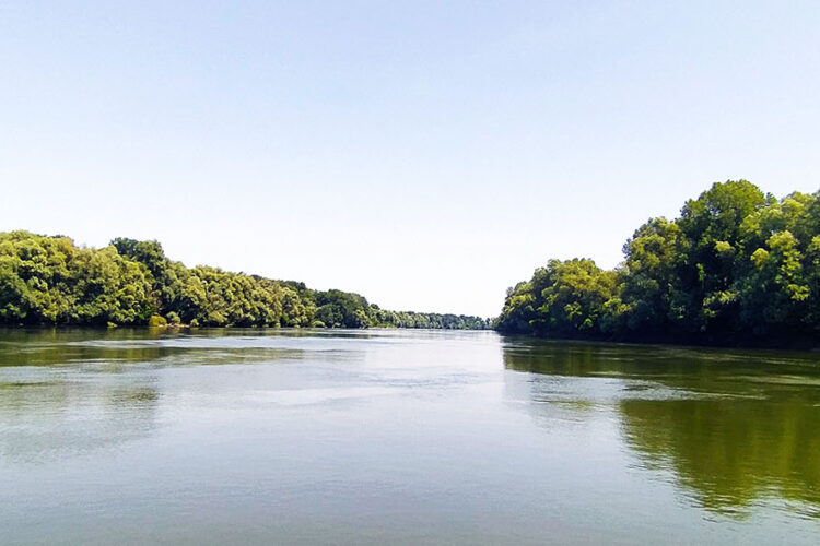 Sétahajózás a Dráván, 2026