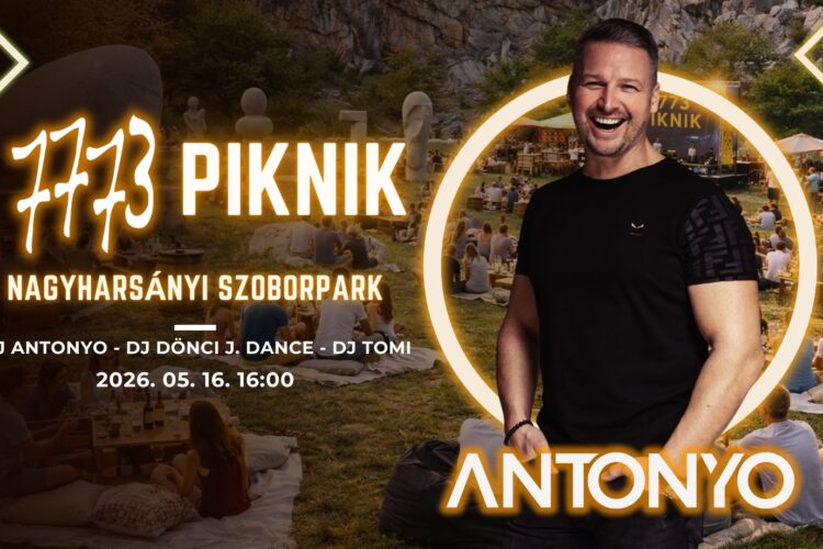 7773 Piknik